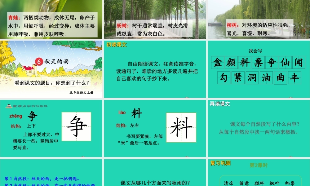 第二单元 6《秋天的雨》课件