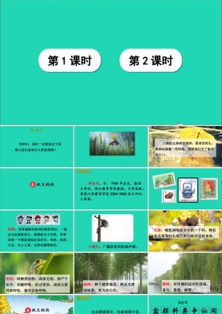 第二单元 6《秋天的雨》课件