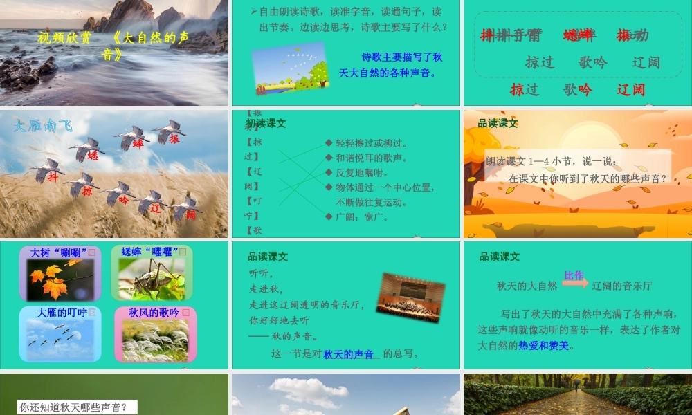 第二单元 7 听听，秋的声音课件