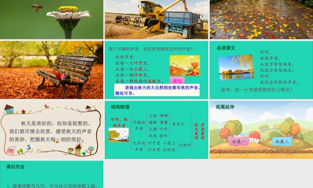 第二单元 7 听听，秋的声音课件