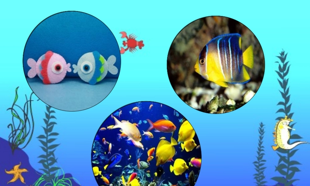 （秋季版）一年级语文下册 5.1 小鱼的梦课件4 北师大版-北师大版小学一年级下册语文课件