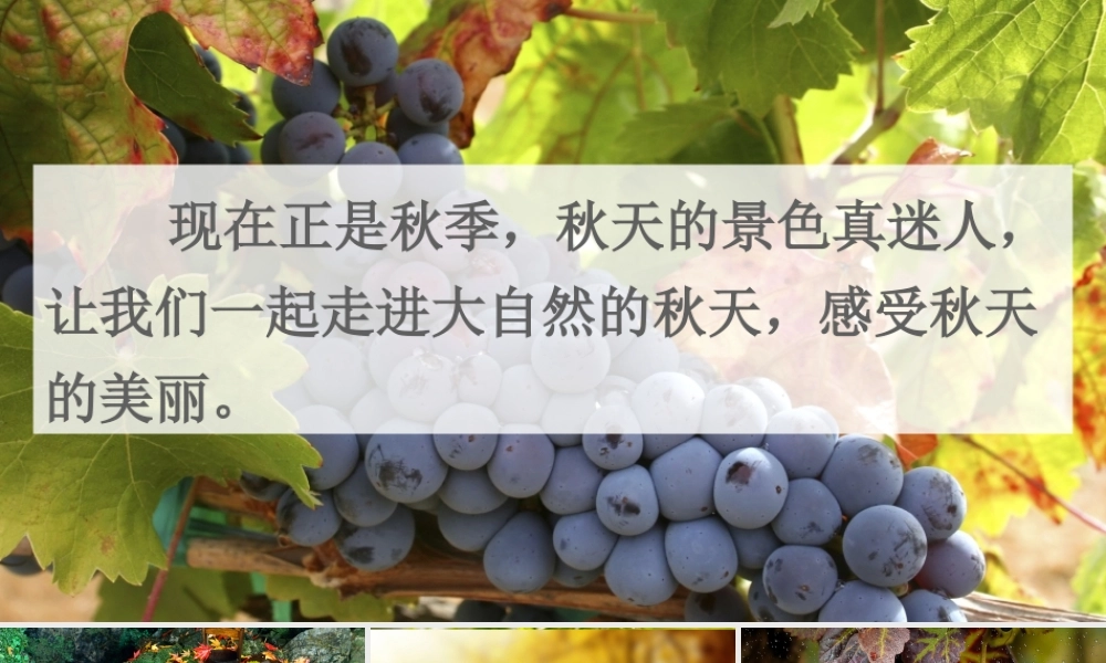 第二单元 7《听听，秋的声音》课件