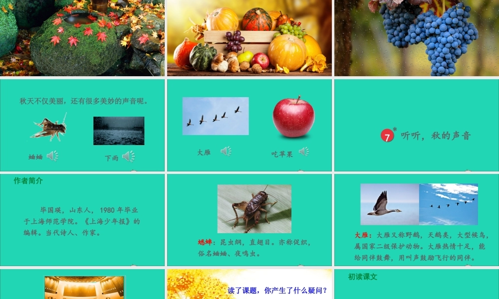 第二单元 7《听听，秋的声音》课件