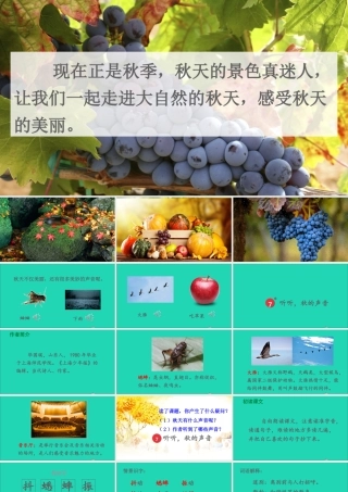 第二单元 7《听听，秋的声音》课件