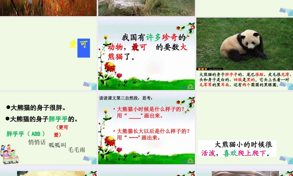 （秋季版）一年级语文下册 5.2 大熊猫课件2 北师大版-北师大版小学一年级下册语文课件