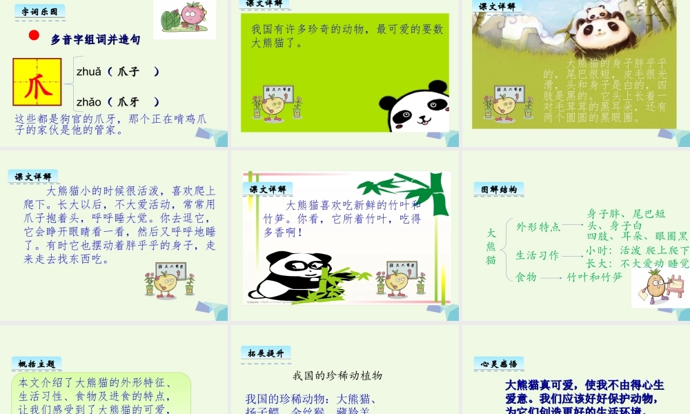 （秋季版）一年级语文下册 5.2 大熊猫课件3 北师大版-北师大版小学一年级下册语文课件