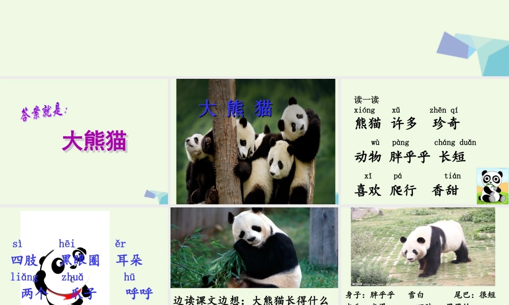 （秋季版）一年级语文下册 5.2 大熊猫课件4 北师大版-北师大版小学一年级下册语文课件