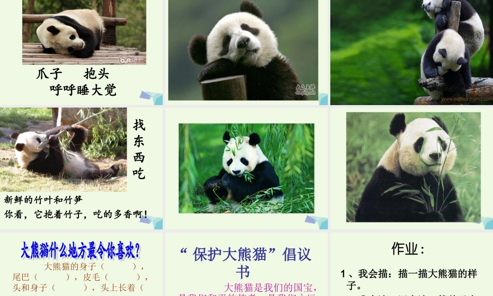 （秋季版）一年级语文下册 5.2 大熊猫课件4 北师大版-北师大版小学一年级下册语文课件