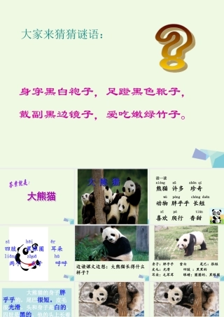 （秋季版）一年级语文下册 5.2 大熊猫课件4 北师大版-北师大版小学一年级下册语文课件