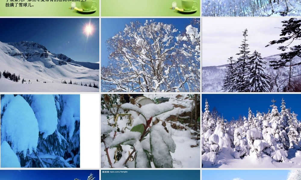 秋四年级语文上册《瑞雪图》课件2 北师大版-北师大版小学四年级上册语文课件