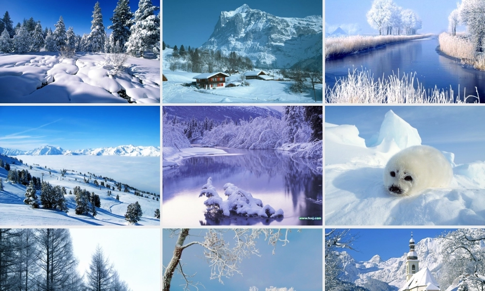 秋四年级语文上册《瑞雪图》课件2 北师大版-北师大版小学四年级上册语文课件