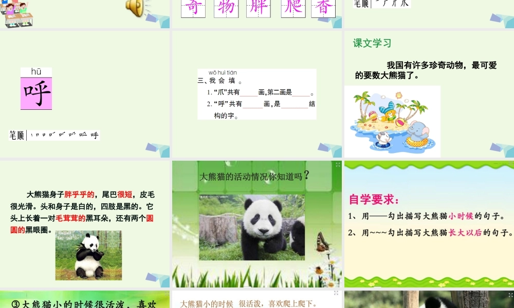 （秋季版）一年级语文下册 5.2 大熊猫课件5 北师大版-北师大版小学一年级下册语文课件