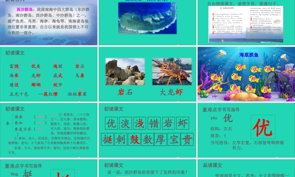 第六单元 18 富饶的西沙群岛课件