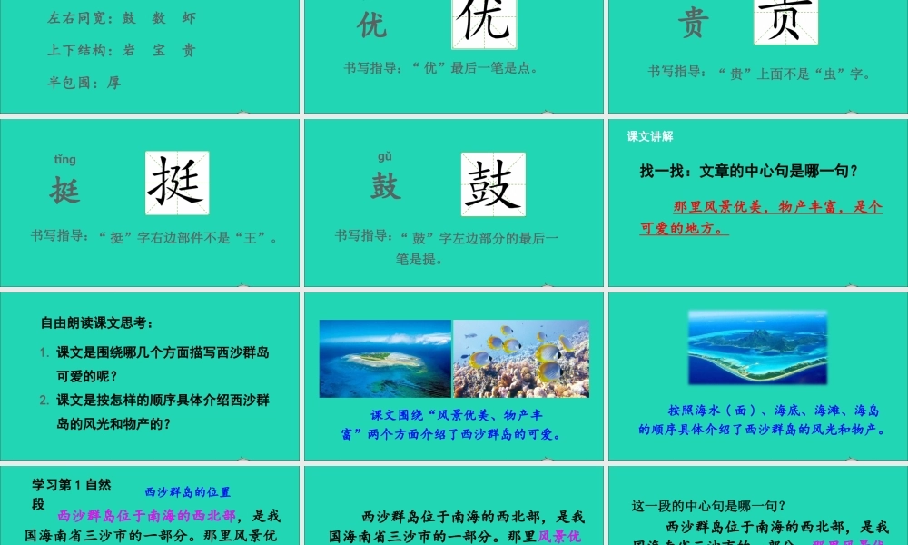 第六单元 18《富饶的西沙群岛》课件