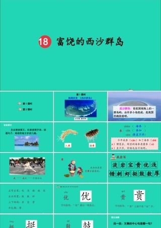 第六单元 18《富饶的西沙群岛》课件