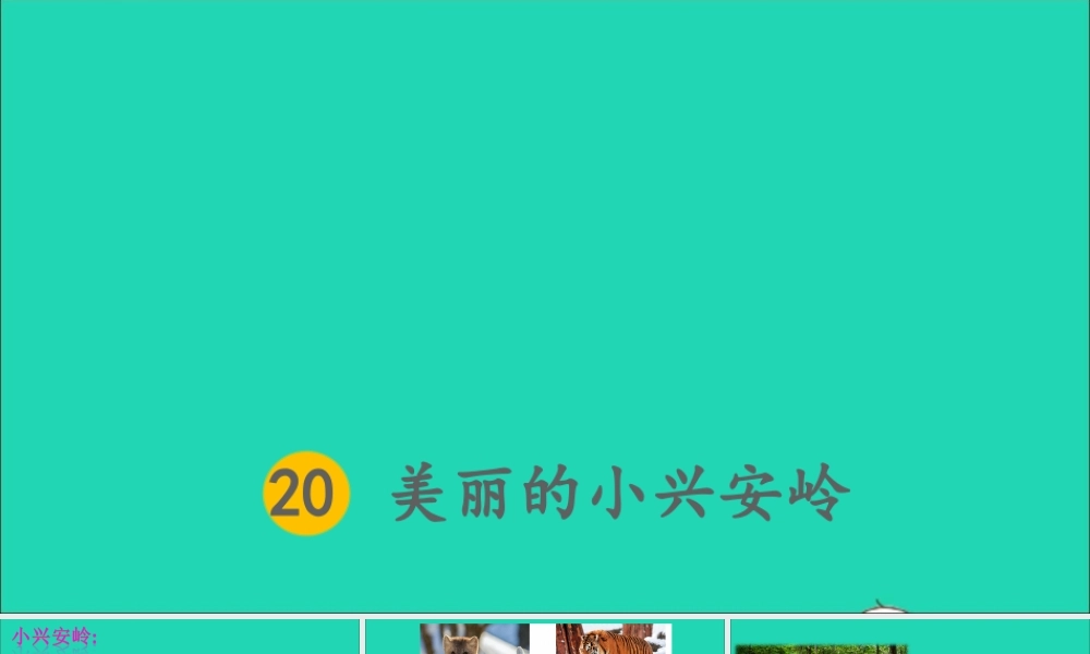 第六单元 丽的小兴安岭课件