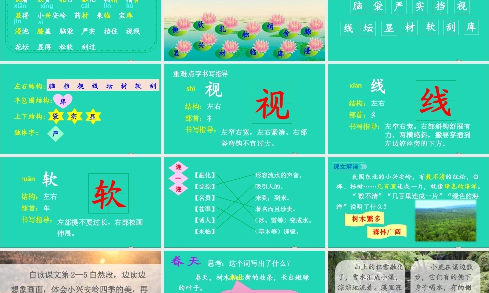 第六单元 丽的小兴安岭课件