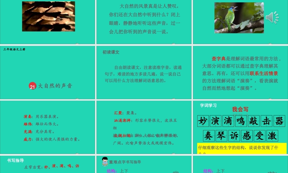 第七单元 21 大自然的声音课件