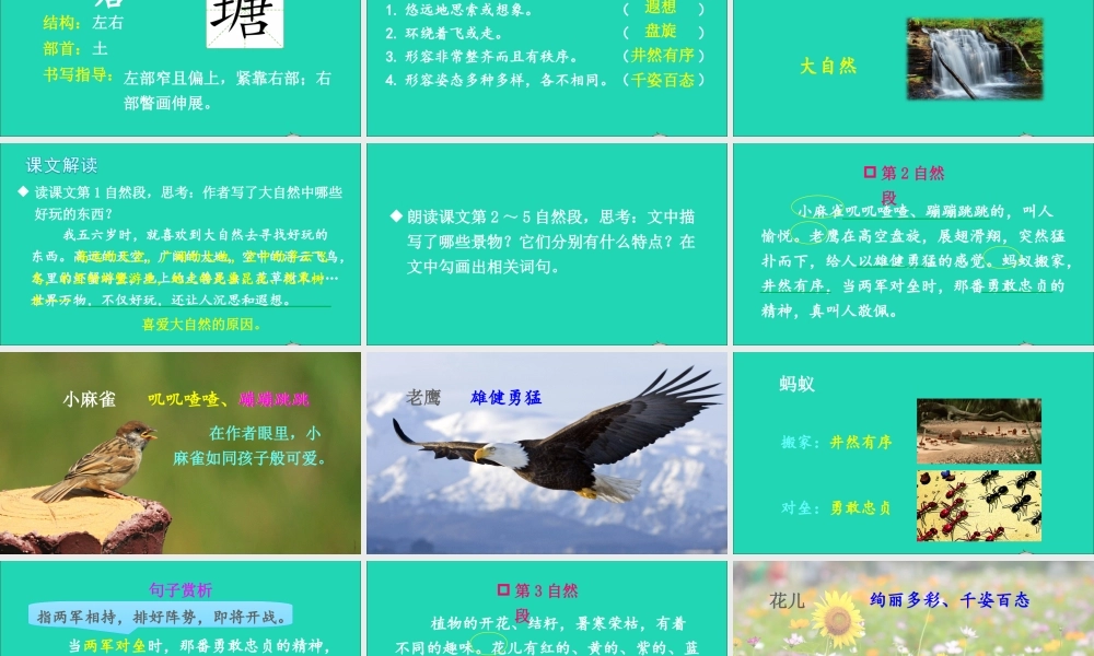 第七单元 22 读不完的大书课件