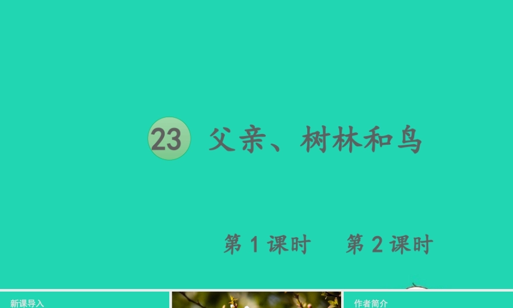 第七单元 23 父亲、树林和鸟课件