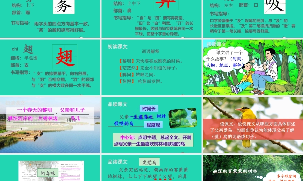 第七单元 23 父亲、树林和鸟课件