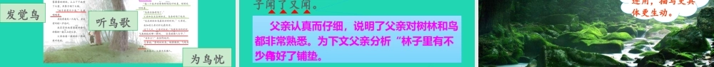 第七单元 23 父亲、树林和鸟课件