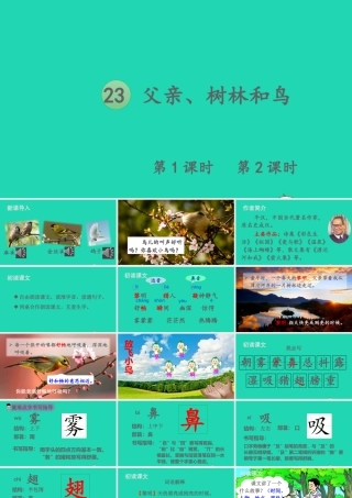 第七单元 23 父亲、树林和鸟课件