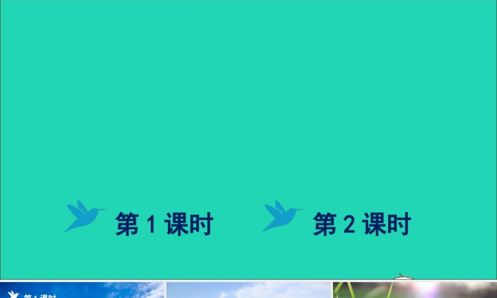 第七单元 23《父亲、树林和鸟》课件