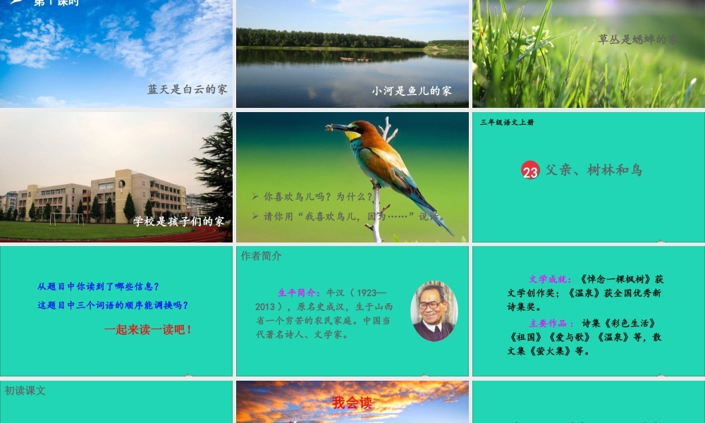 第七单元 23《父亲、树林和鸟》课件