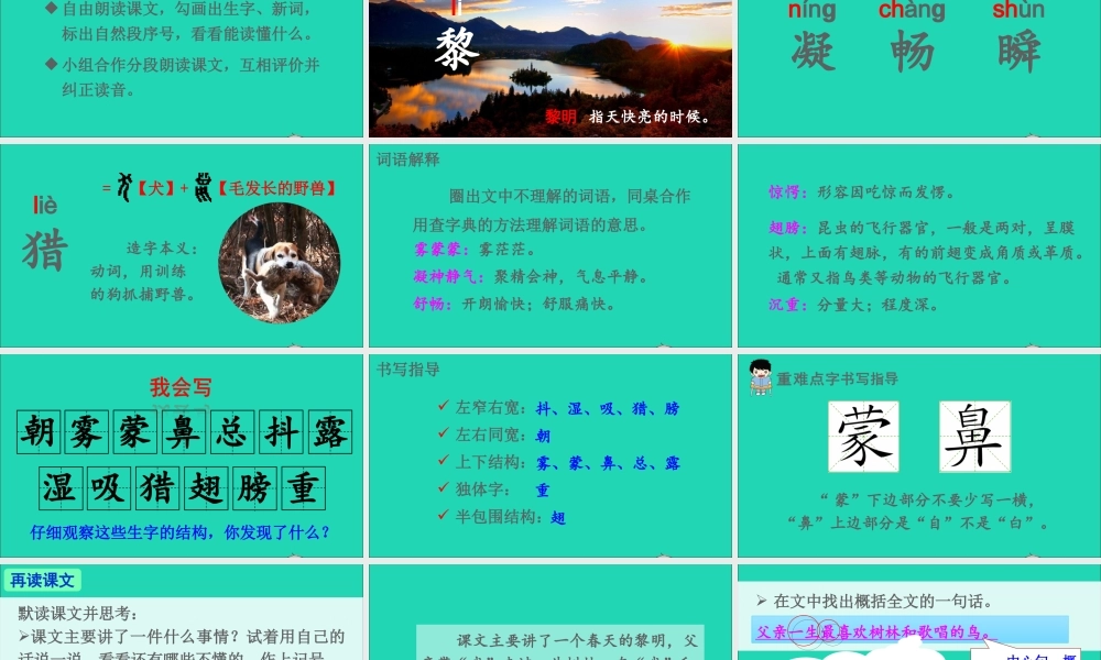 第七单元 23《父亲、树林和鸟》课件