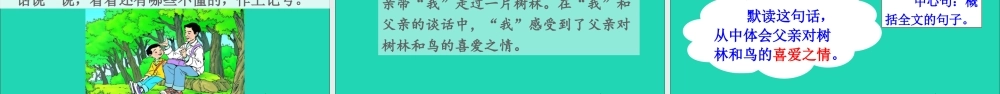 第七单元 23《父亲、树林和鸟》课件