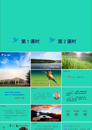 第七单元 23《父亲、树林和鸟》课件