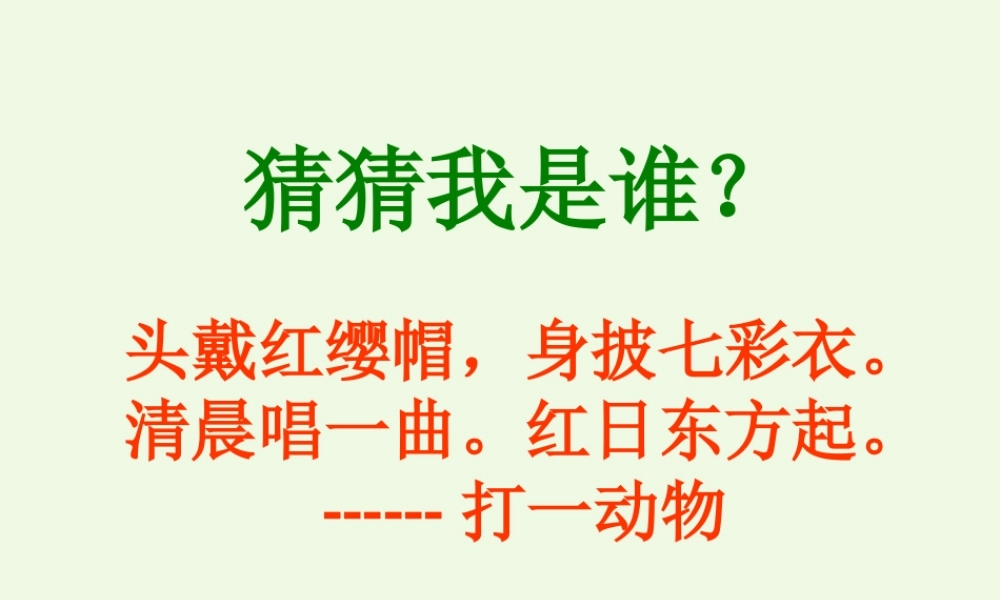（秋季版）一年级语文下册 16.2 快乐的小公鸡课件2 北师大版-北师大版小学一年级下册语文课件
