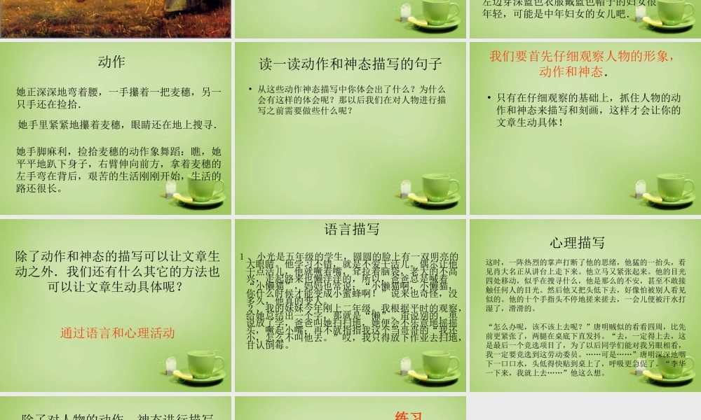 秋四年级语文上册《拾穗》课件2 北师大版-北师大版小学四年级上册语文课件