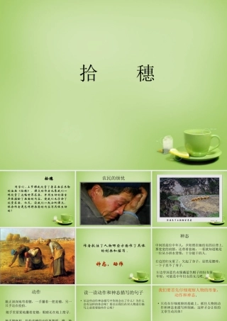 秋四年级语文上册《拾穗》课件2 北师大版-北师大版小学四年级上册语文课件