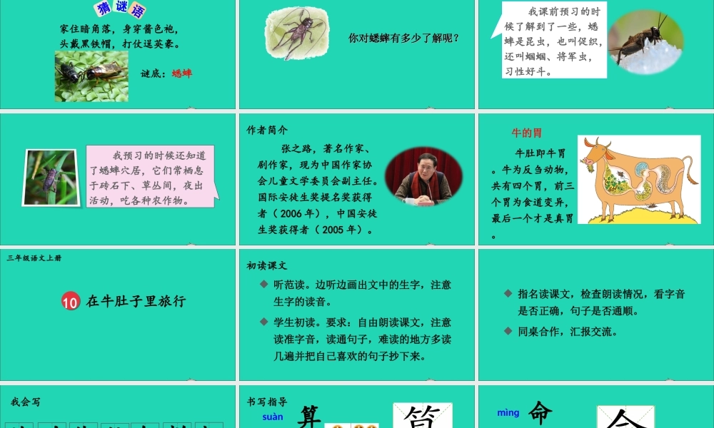 第三单元 10《在牛肚子里旅行》课件