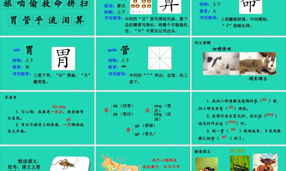 第三单元 10《在牛肚子里旅行》课件