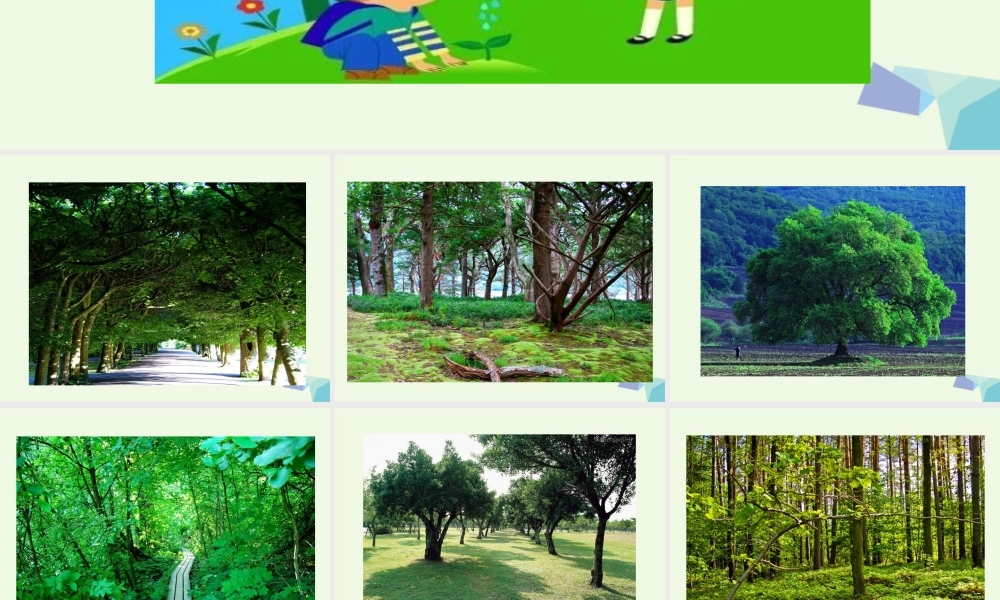 （秋季版）一年级语文下册 第1课 种树课件 西师大版-西师大版小学一年级下册语文课件