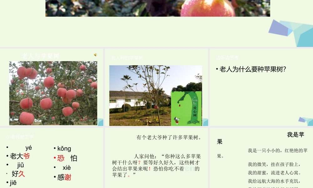 （秋季版）一年级语文下册 第3课 老人与苹果树课件1 西师大版-西师大版小学一年级下册语文课件