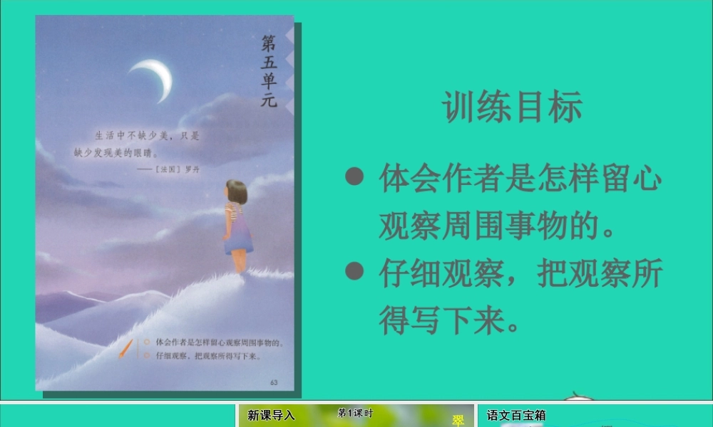 第五单元 15 搭船的鸟课件