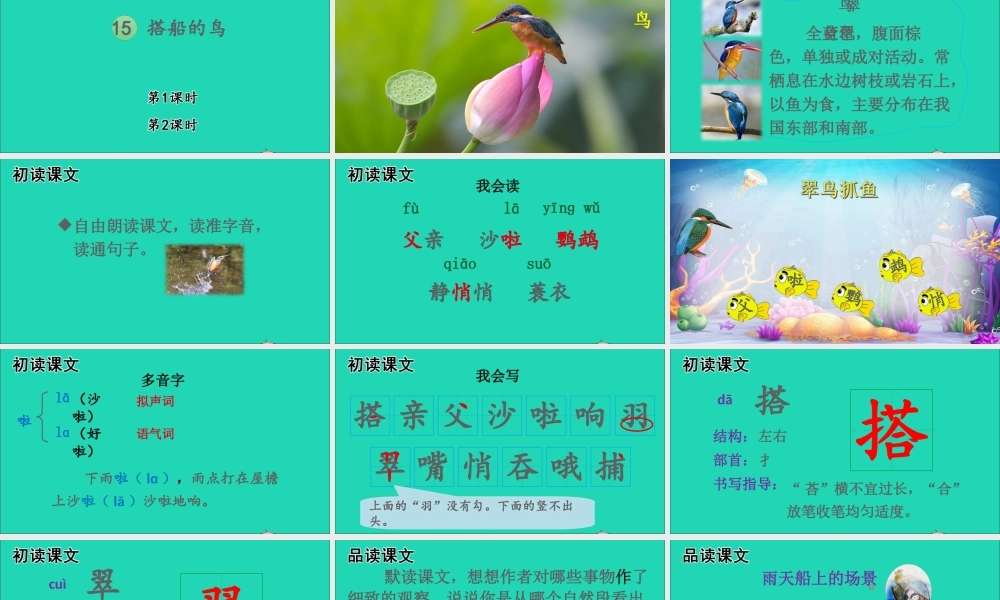 第五单元 15 搭船的鸟课件