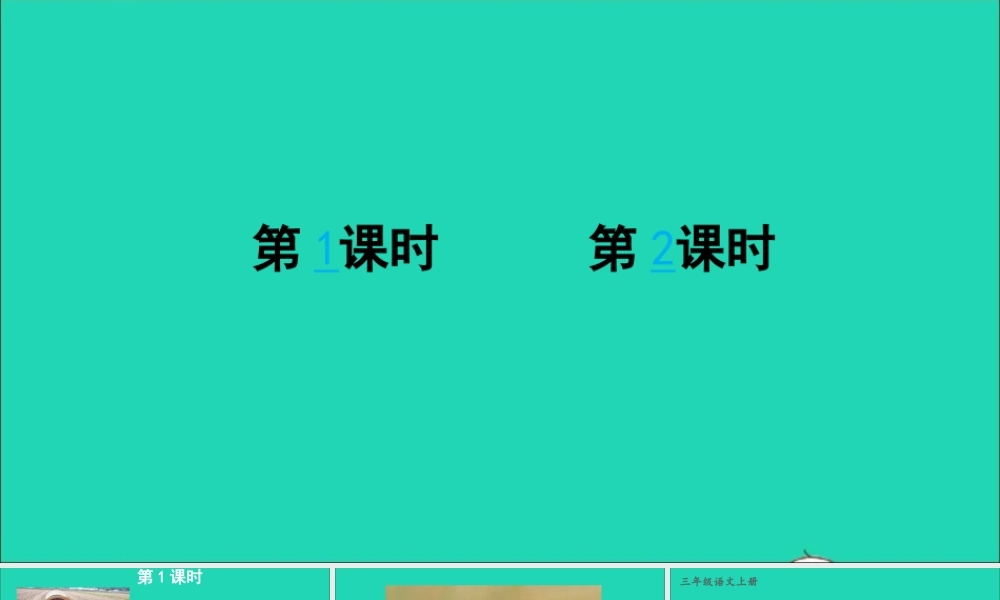 第五单元 15《搭船的鸟》课件