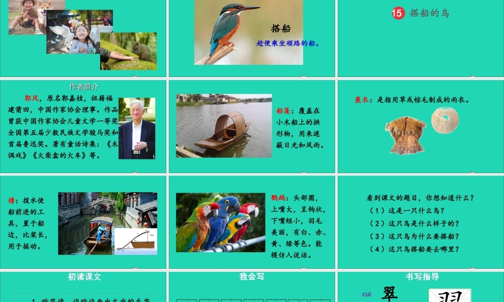 第五单元 15《搭船的鸟》课件