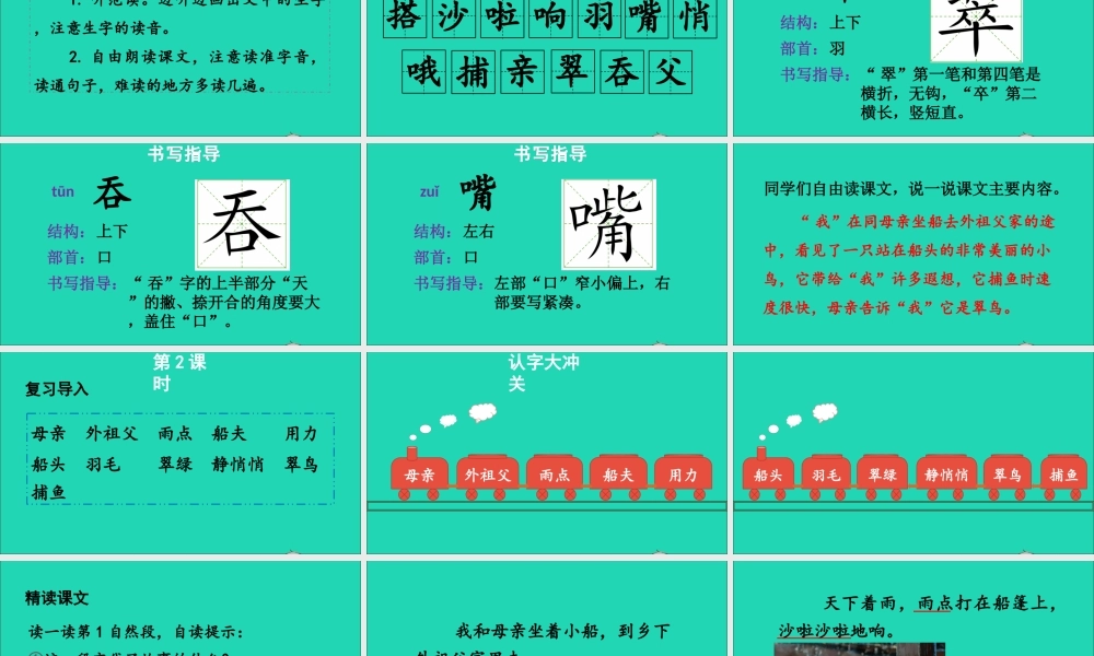 第五单元 15《搭船的鸟》课件