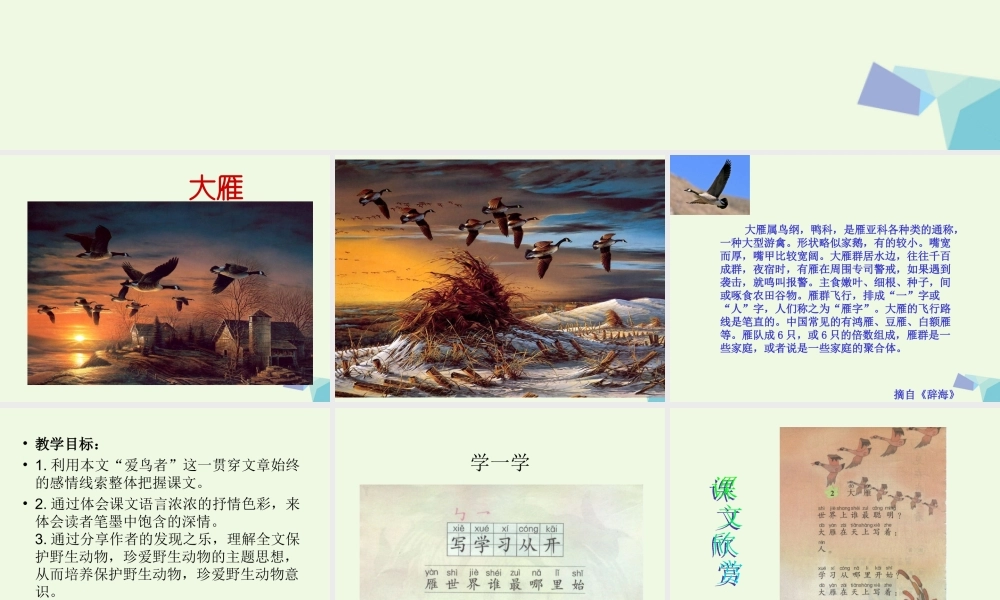 （秋季版）一年级语文上册 大雁课件1 湘教版-湘教版小学一年级上册语文课件