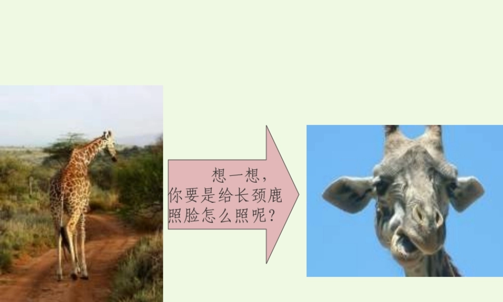 （秋季版）一年级语文上册 动脑筋照相课件1 长春版-长春版小学一年级上册语文课件