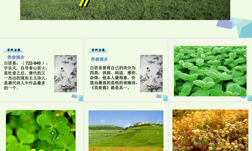 （秋季版）一年级语文下册 第5课 白居易诗两首（草）课件 西师大版-西师大版小学一年级下册语文课件