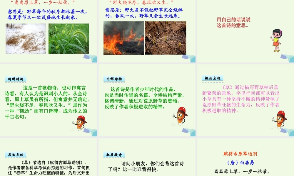 （秋季版）一年级语文下册 第5课 白居易诗两首（草）课件 西师大版-西师大版小学一年级下册语文课件