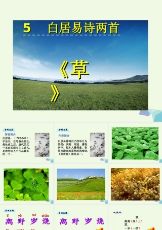 （秋季版）一年级语文下册 第5课 白居易诗两首（草）课件 西师大版-西师大版小学一年级下册语文课件