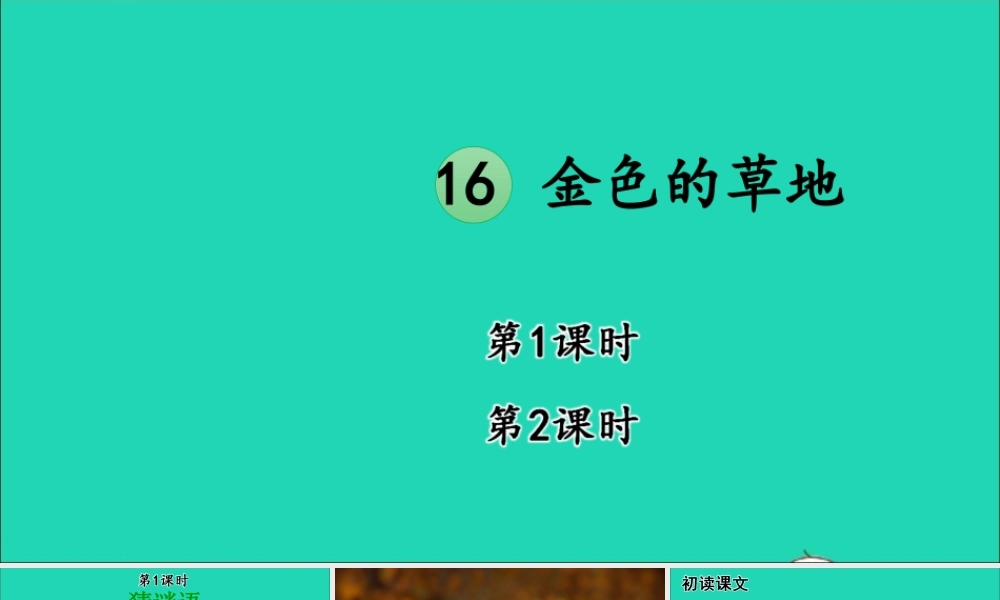 第五单元 16 金色的草地课件